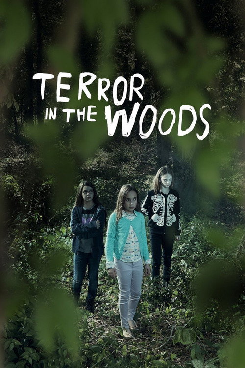 Постер фильма «Terror in the Woods»