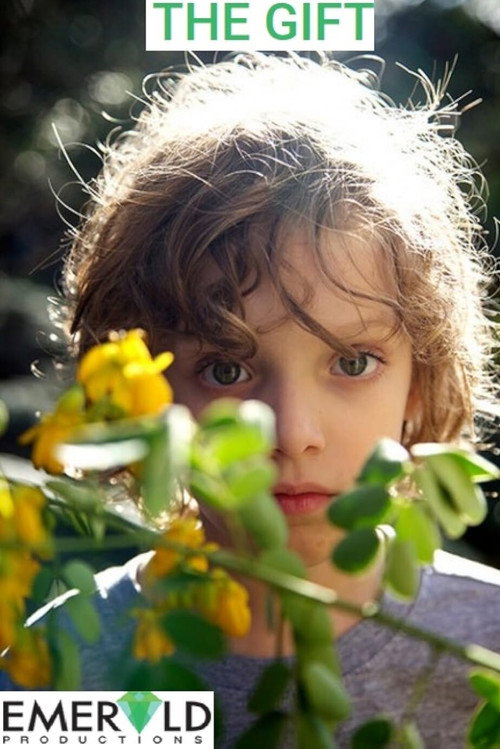 Постер фильма «The Gift»