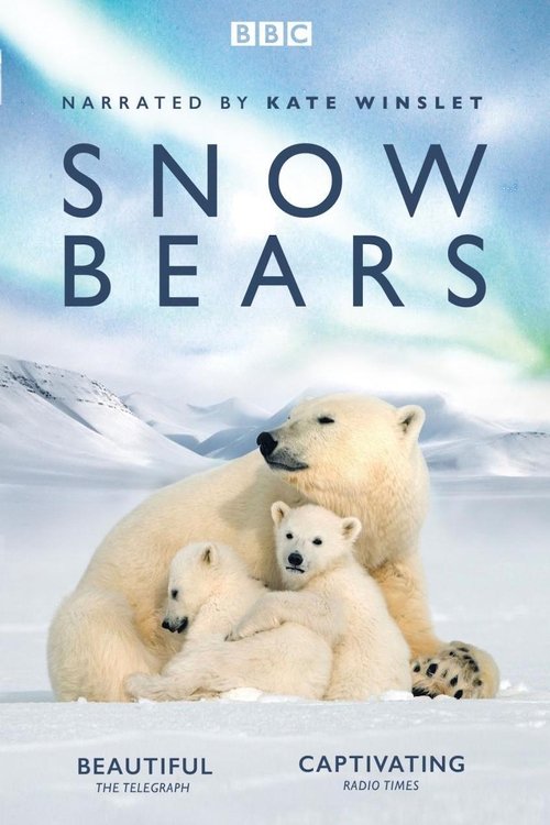 Постер фильма «Snow Bears»