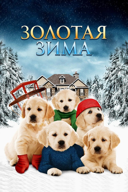 Постер фильма «Золотая зима»