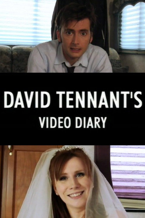 Постер фильма «David Tennant's Video Diary»