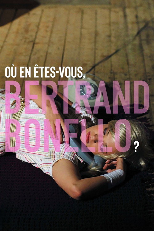 Постер фильма «Où en êtes-vous, Bertrand Bonello?»