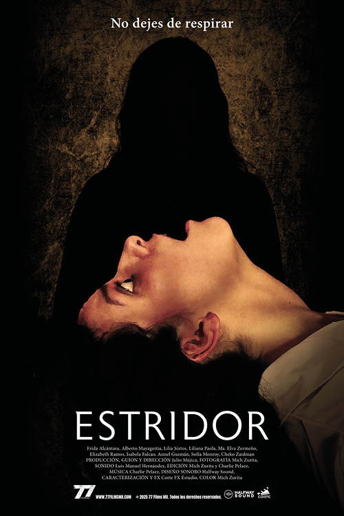 Постер фильма «Estridor»