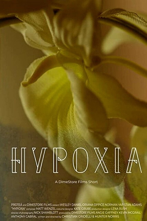 Постер фильма «Hypoxia»