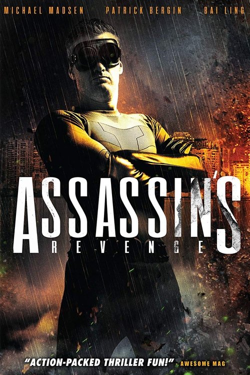 Постер фильма «Assassins Revenge»