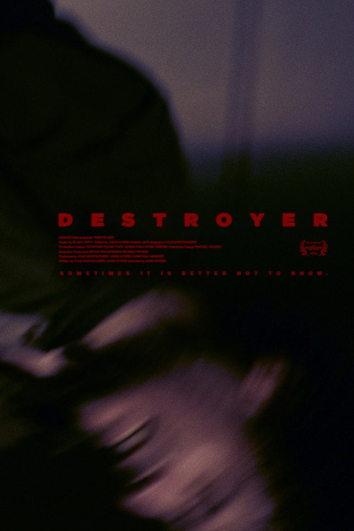 Постер фильма «Destroyer»
