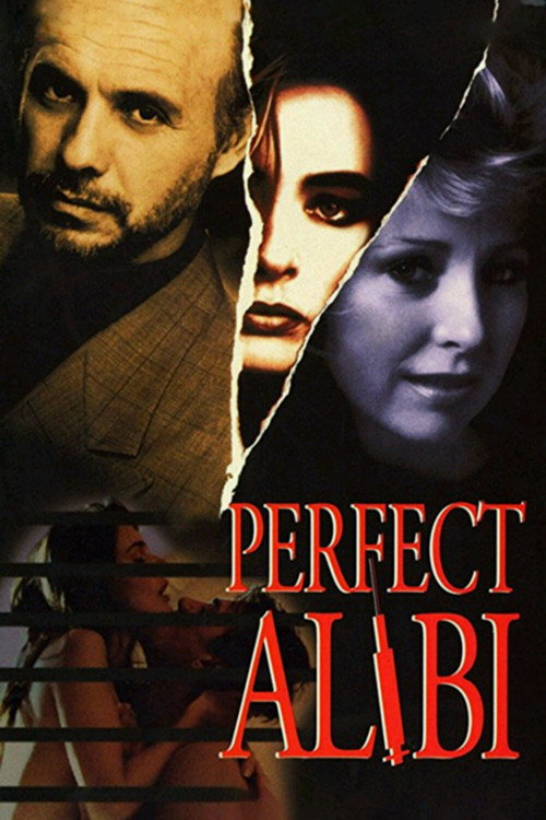 Постер фильма «Perfect Alibi»