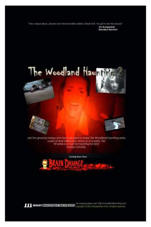 Постер фильма «The Woodland Haunting 2»