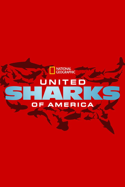 Постер фильма «United Sharks of America»
