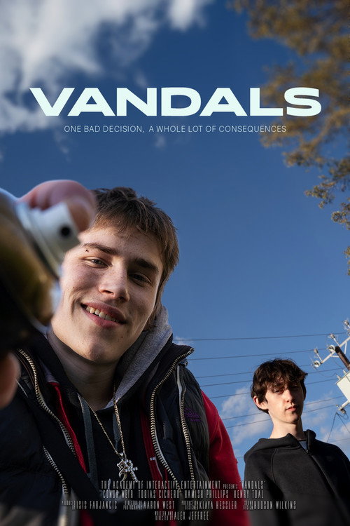 Постер фильма «VANDALS»