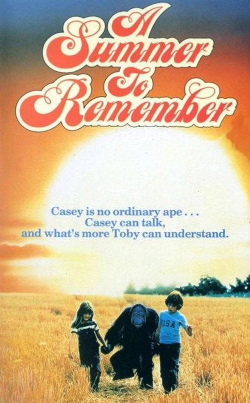Постер фильма «A Summer to Remember»