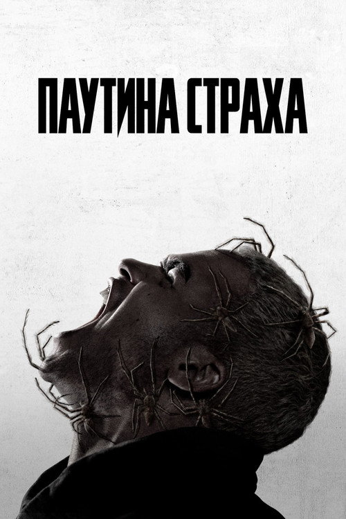 Постер фильма «Паутина страха»