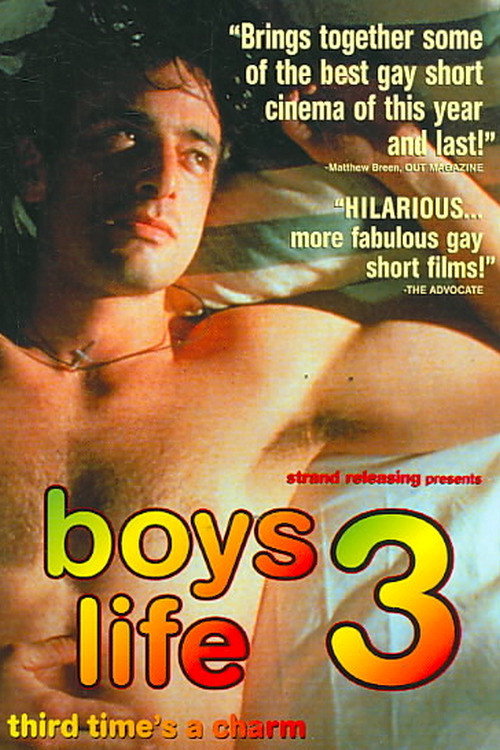 Постер фильма «Boys Life 3»