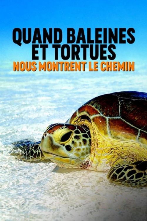 Постер фильма «Quand baleines et tortues nous montrent le chemin»