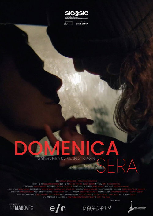 Постер фильма «Domenica sera»