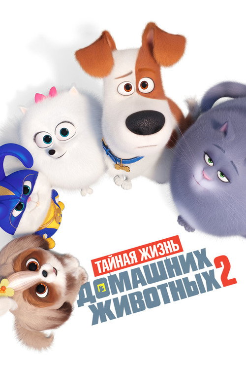 Постер фильма «Тайная жизнь домашних животных 2»