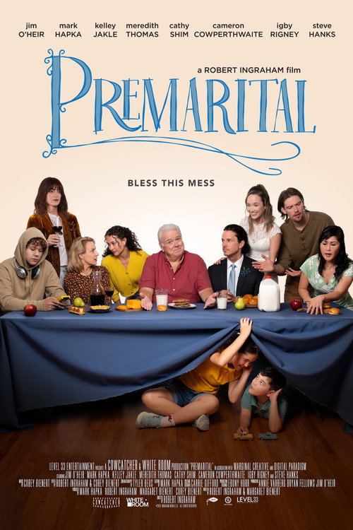 Постер фильма «Premarital»