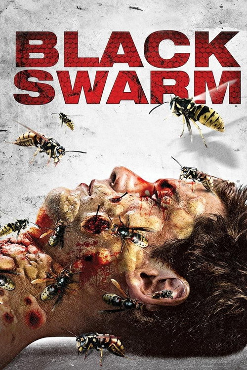 Постер фильма «Black Swarm»