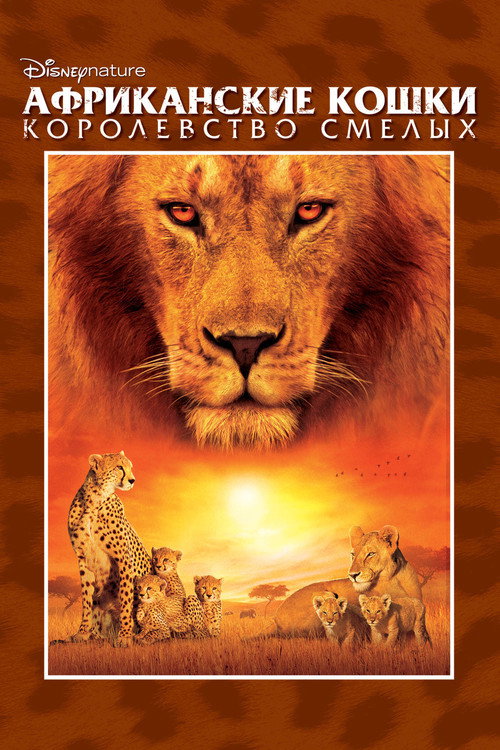 Постер фильма «Африканские кошки: Королевство смелых»
