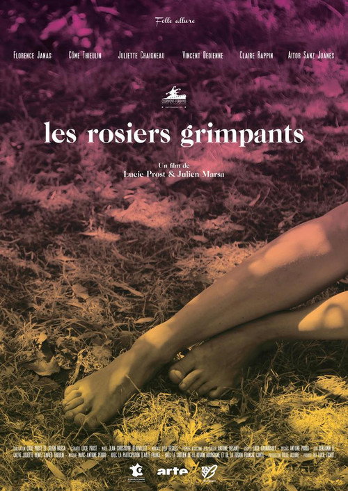 Постер фильма «Les rosiers grimpants»