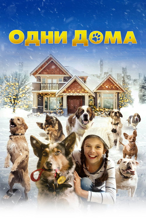 Постер фильма «Одни дома»