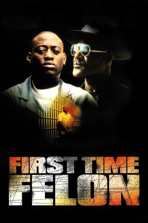 Постер фильма «First Time Felon»