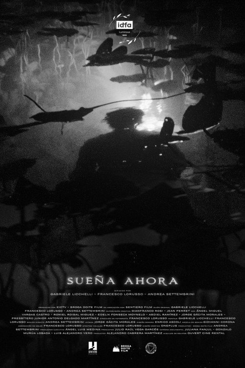 Постер фильма «Sueña ahora»