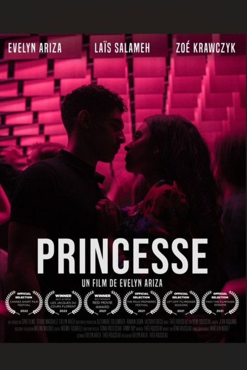 Постер фильма «Princesse»