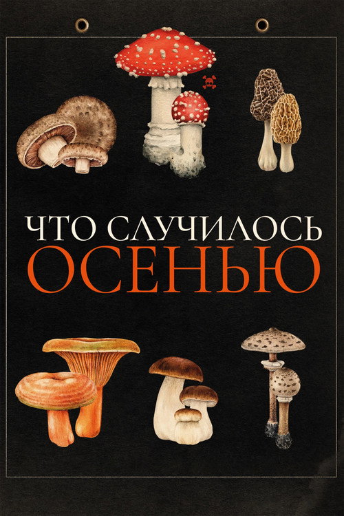 Постер фильма «Что случилось осенью»