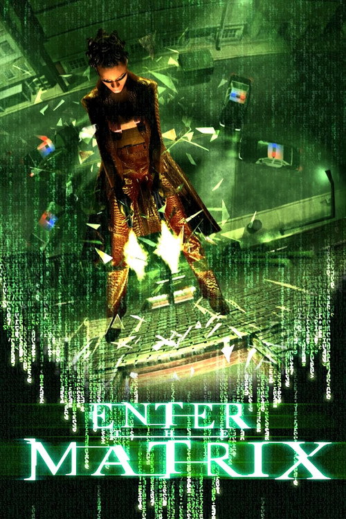 Постер фильма «Making 'Enter the Matrix'»