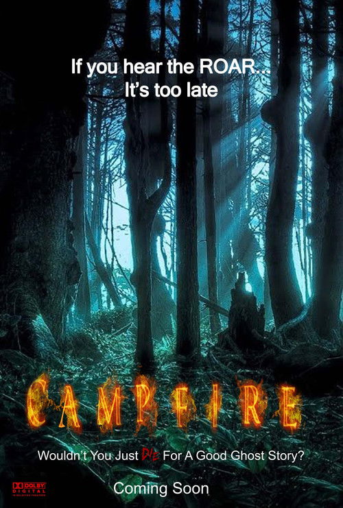 Постер фильма «Campfire»