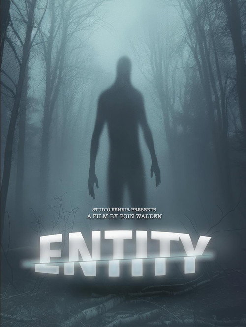 Постер фильма «Entity»