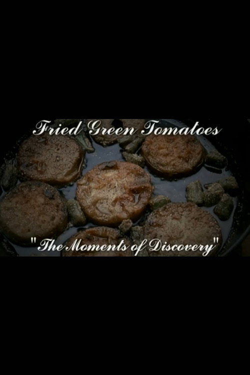 Постер фильма «Moments of Discovery: The Making of Fried Green Tomatoes»