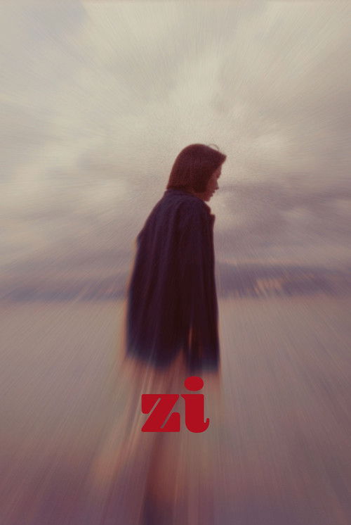 Постер фильма «Zi»