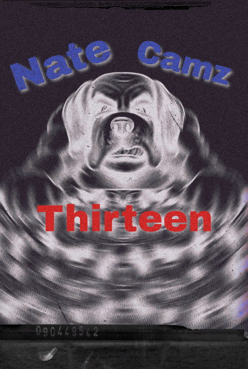 Постер фильма «Natecamz 13»