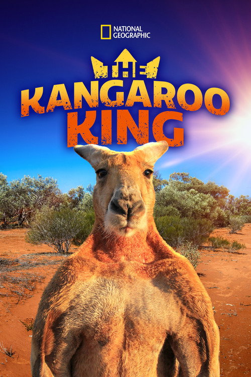 Постер фильма «The Kangaroo King»