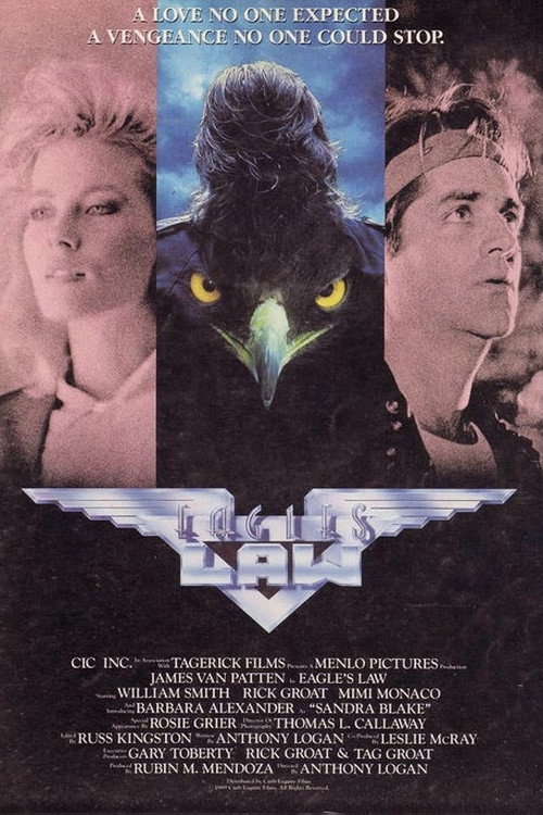 Постер фильма «Eagle's Law»