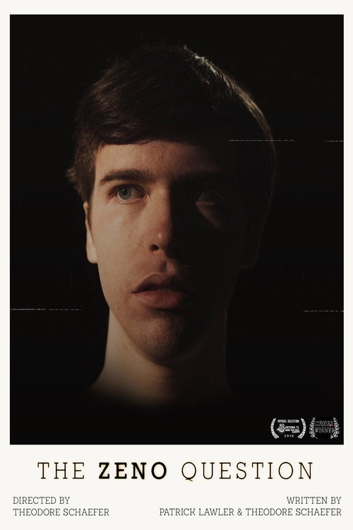 Постер фильма «The Zeno Question»
