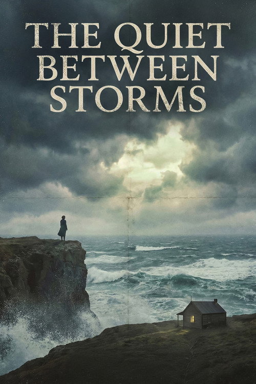 Постер фильма «The Quiet Between Storms»