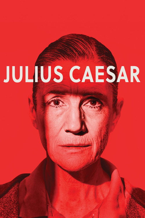 Постер фильма «Julius Caesar»