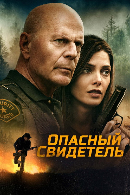 Постер фильма «Опасный свидетель»