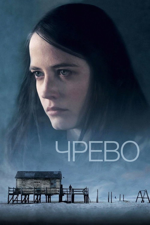 Постер фильма «Чрево»