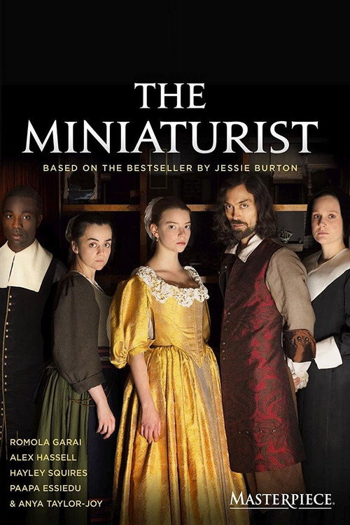 Постер фильма «The Miniaturist»