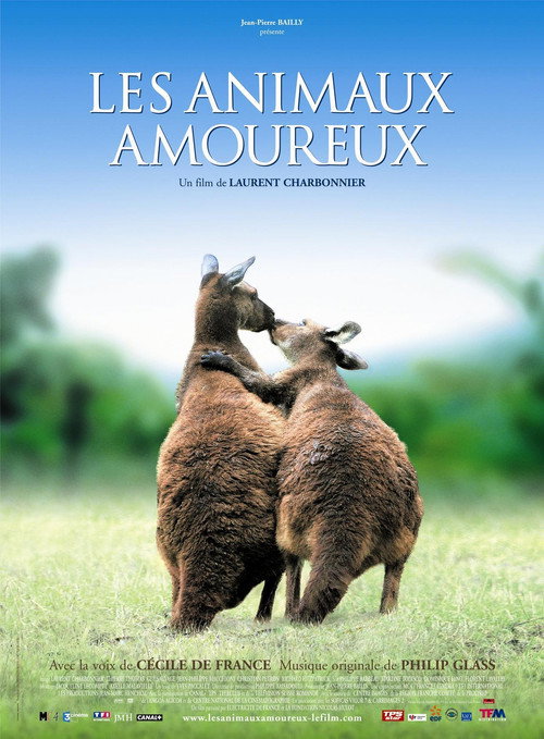 Постер фильма «Les Animaux Amoureux»
