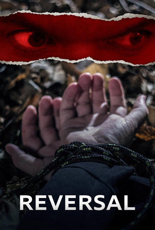 Постер фильма «Reversal»