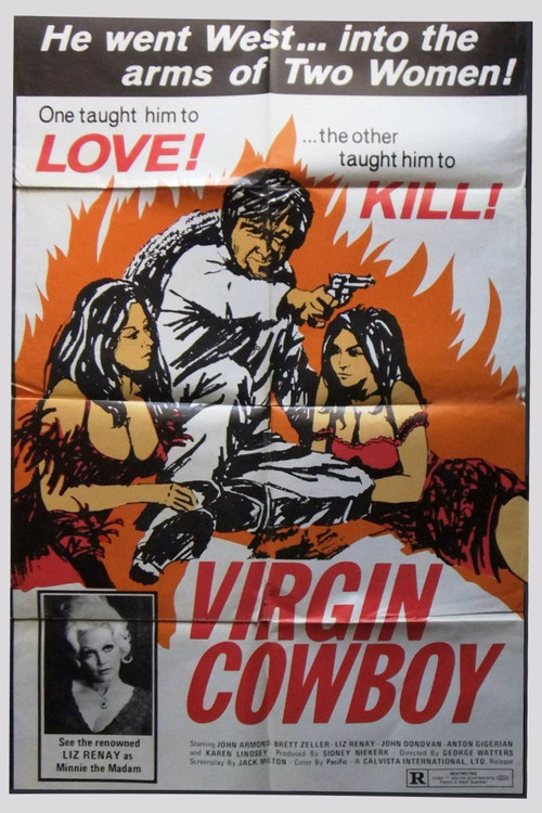 Постер фильма «Virgin Cowboy»