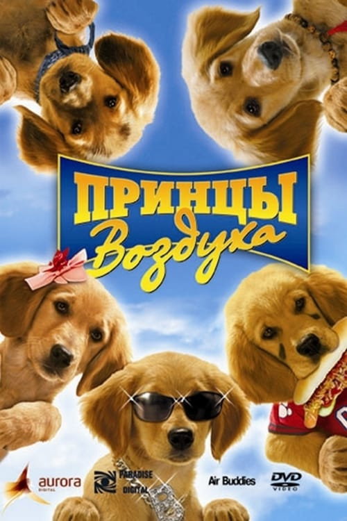 Постер фильма «Принцы воздуха»