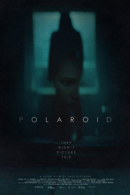 Постер фильма «Polaroid»