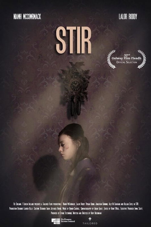 Постер фильма «Stir»