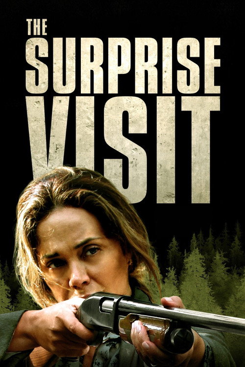 Постер фильма «The Surprise Visit»